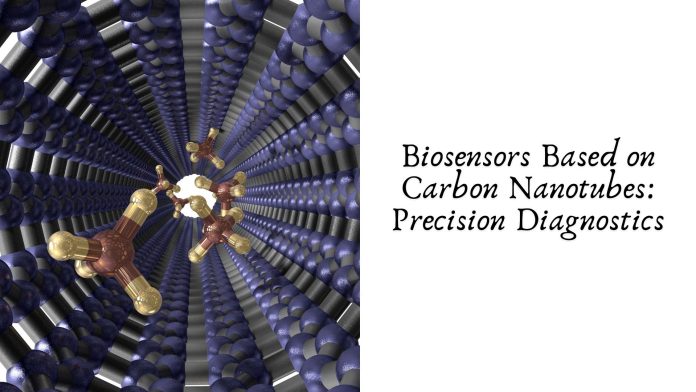 Biosensors Based on Carbon Nanotubes: Precision Diagnostics