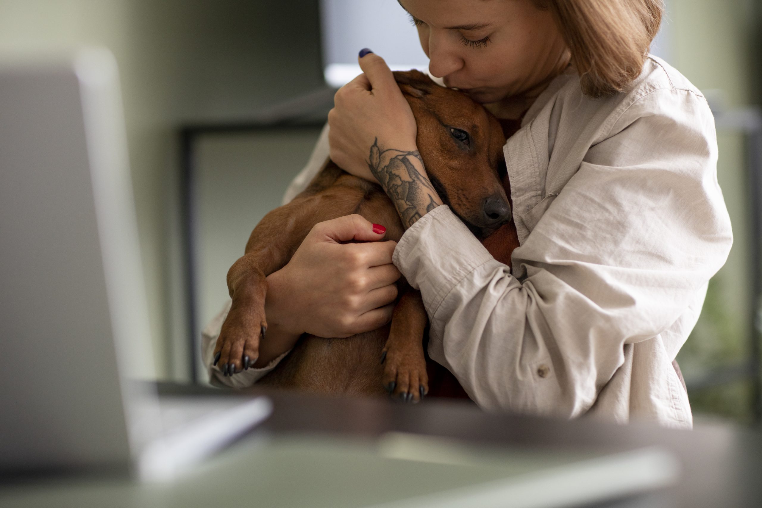 Distance Animal Healing and Therapy: A Powerful Pet from Afar.