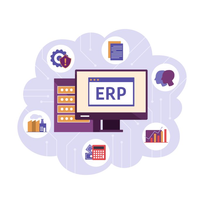 7090080 erp software
