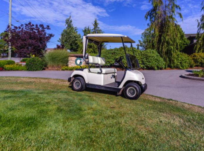 How to Protect Your Golf Cart from Rodents During Storage