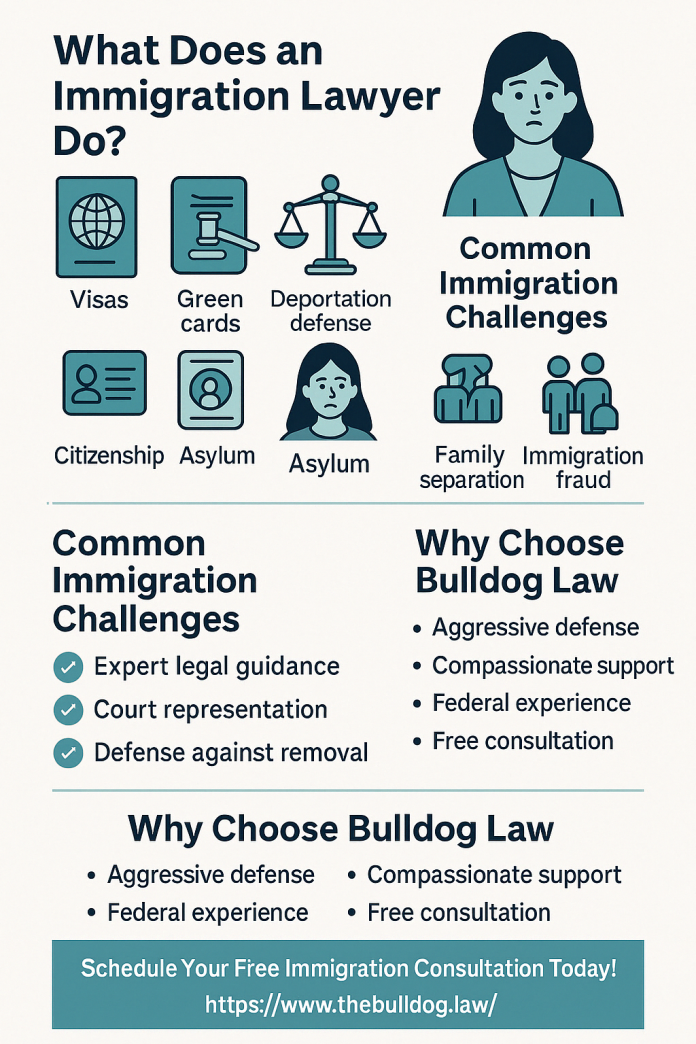 Immigration Attorney