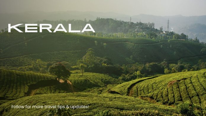 Kerala Private Tours Tailored for Personal Travel Styles