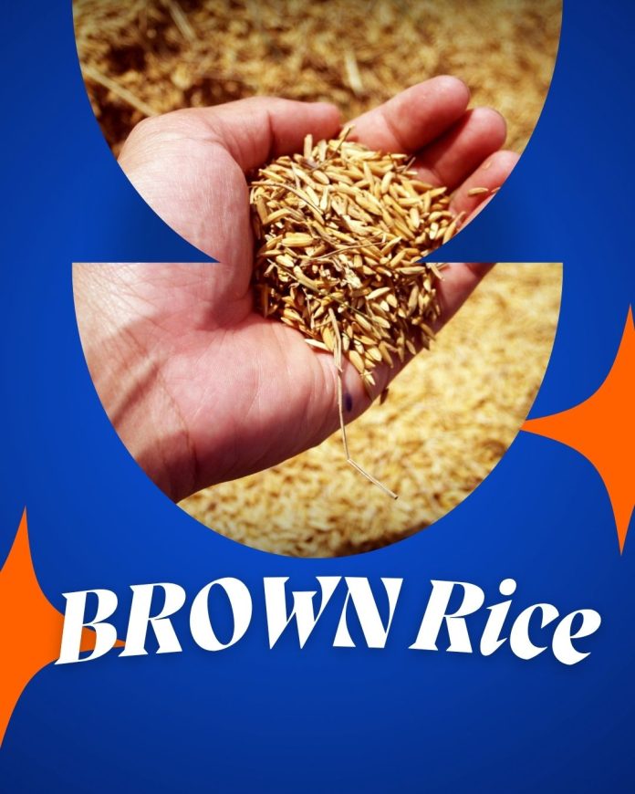 Brown Basmati Rice for Daily Nutrition and Global Trade