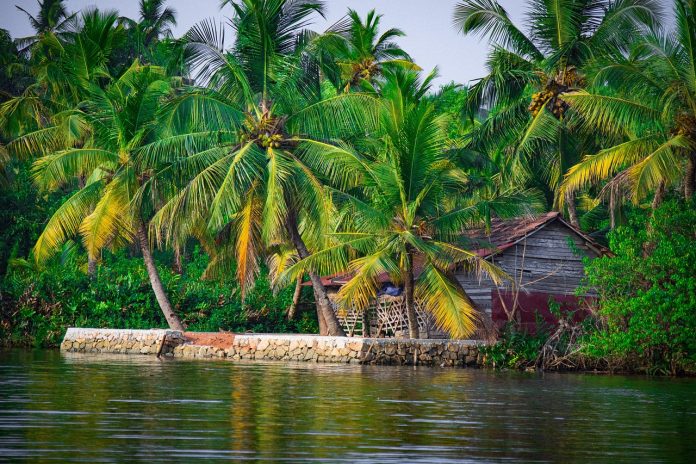 kerala honeymoon trip