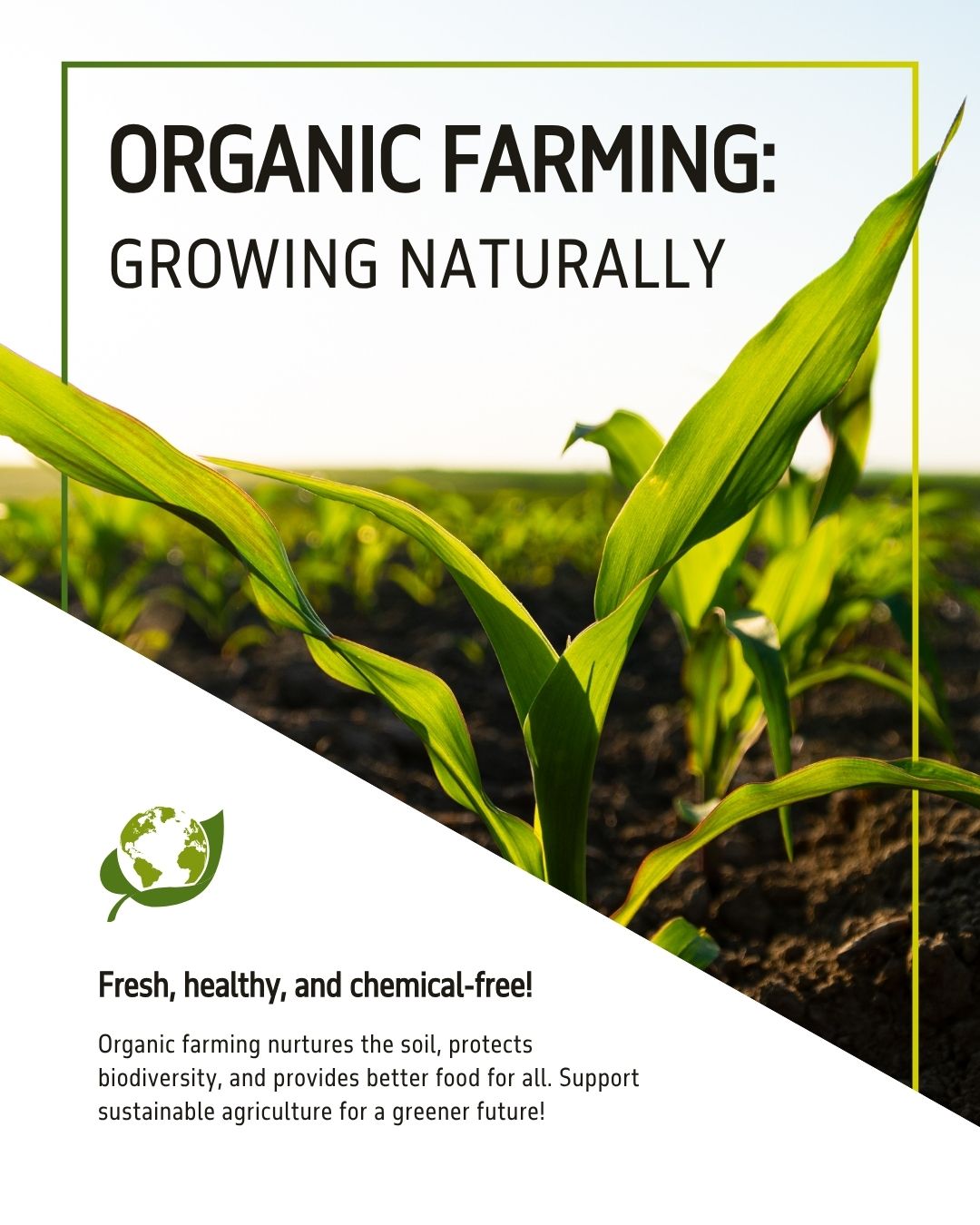 Crop Acreage Trends, Planning, and Impact Explained