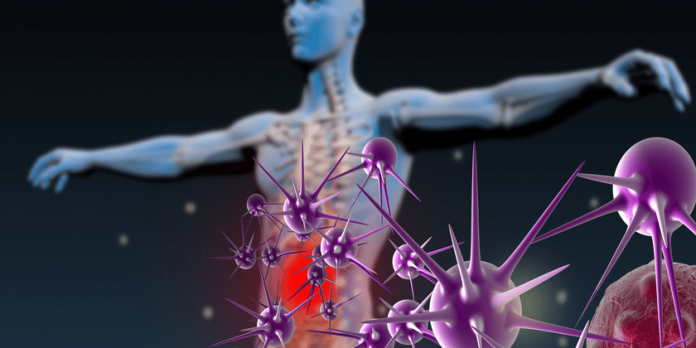 Immune Support Habits for Year Round Protection