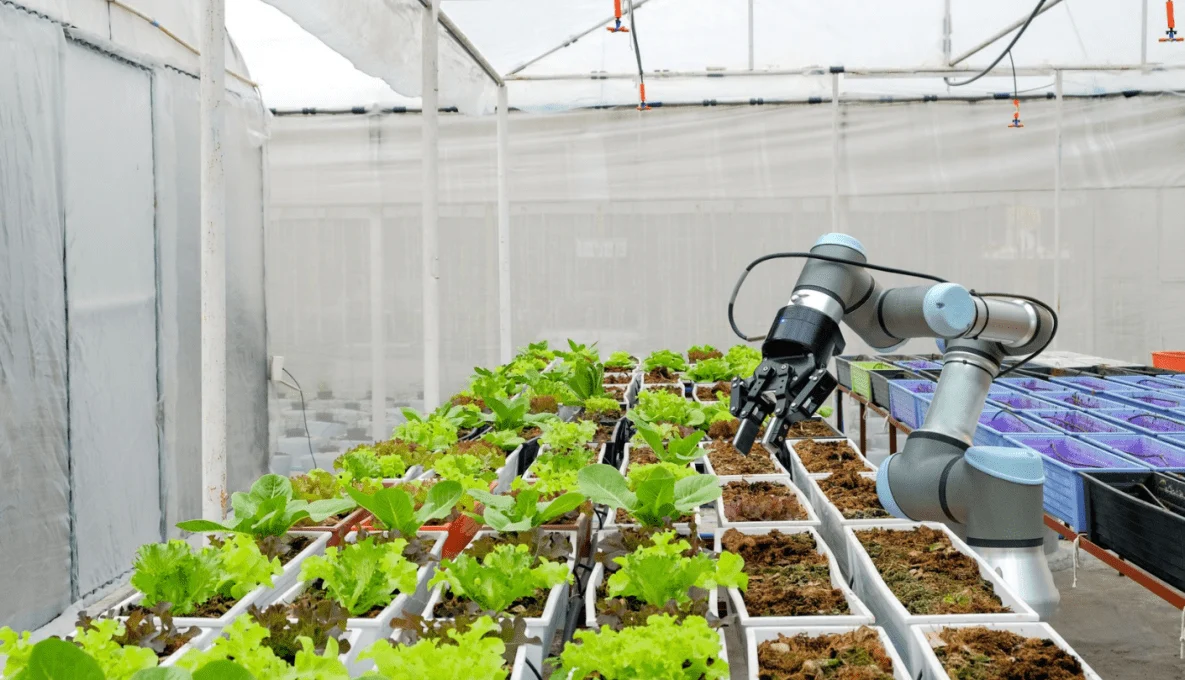 Indoor and Vertical Farming Automation—Machine Learning in Controlled Environment Agriculture (CEA)